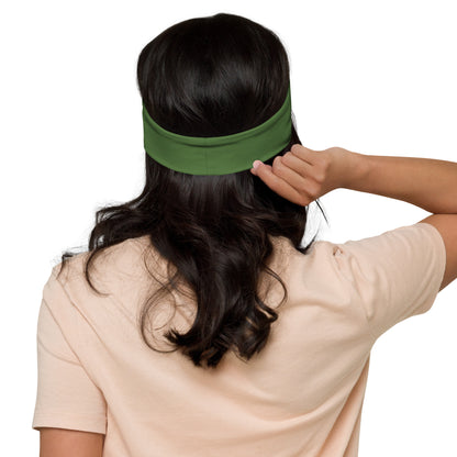 Rogue Costume Headband