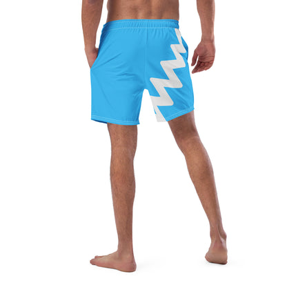 Quicksilver Swim Trunks