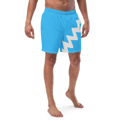 Quicksilver Swim Trunks