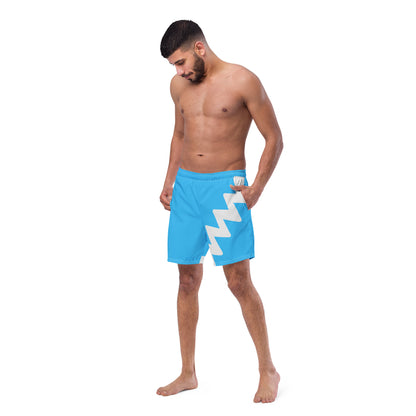 Quicksilver Swim Trunks