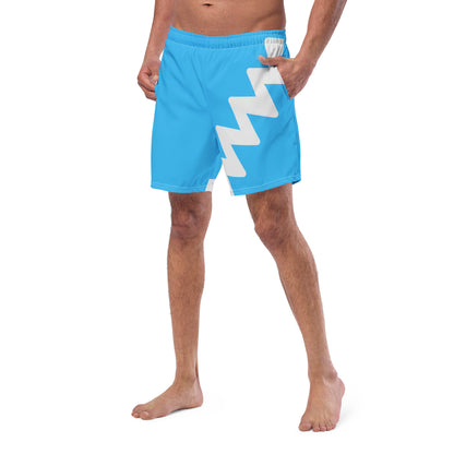 Quicksilver Swim Trunks