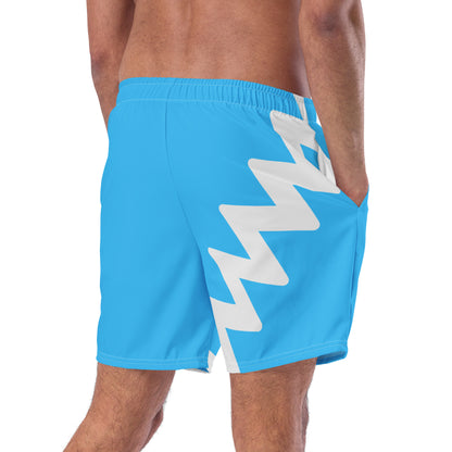 Quicksilver Swim Trunks