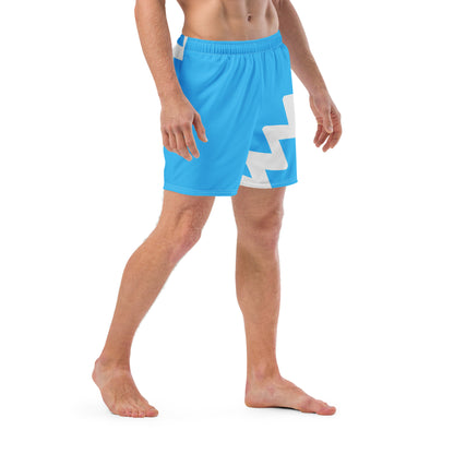 Quicksilver Swim Trunks