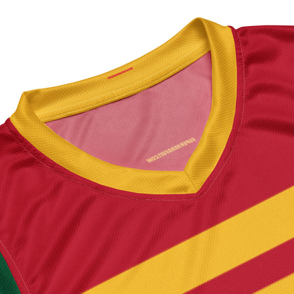 Dick Grayson Robin Basketball Jersey