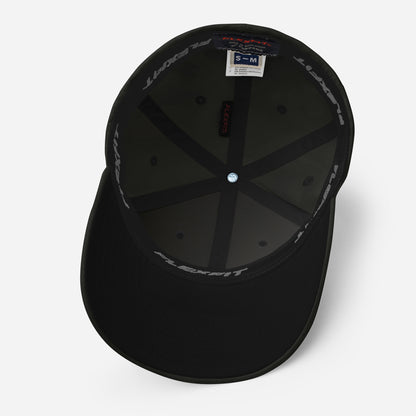 Scott Lang Book Embroidered Structured Twill Cap