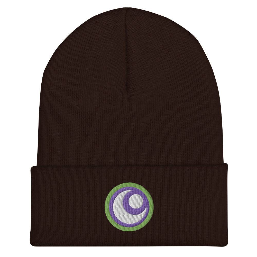 Starfire Embroidered Cuffed Beanie