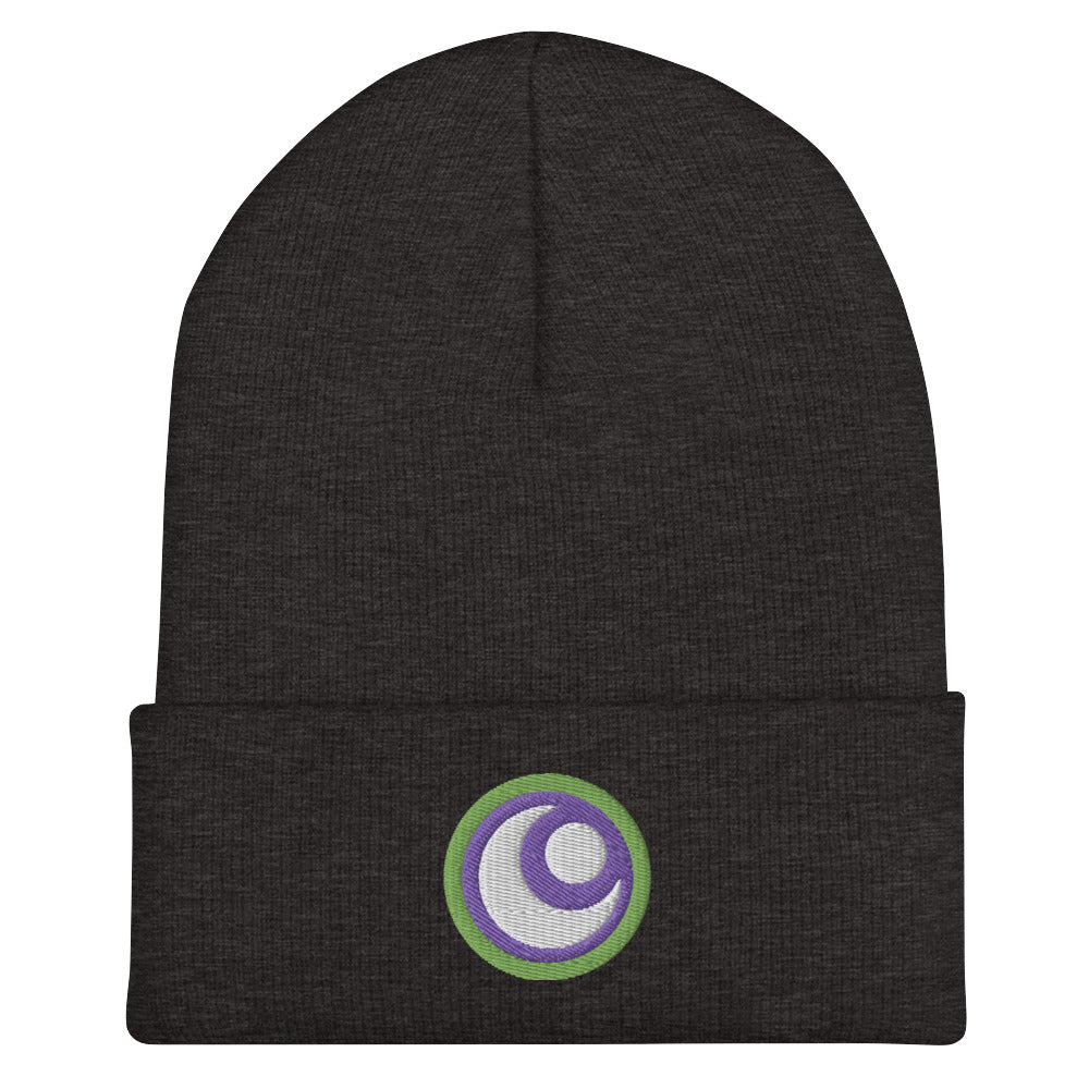 Starfire Embroidered Cuffed Beanie