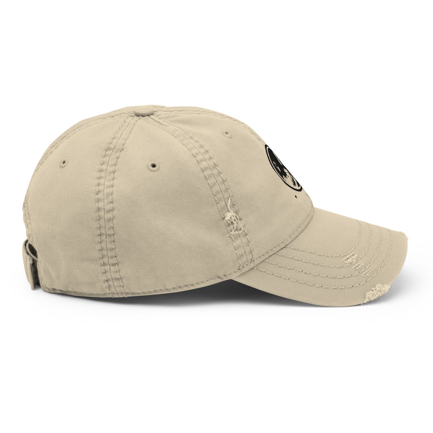 Echo Logo Embroidered Distressed Hat